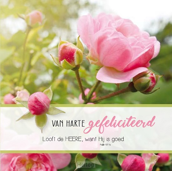 Van harte gefeliciteerd - wenskaart Bijbeltekst SV