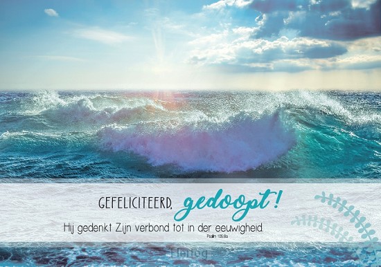 Gefeliciteerd, gedoopt! - wenskaart Bijbeltekst SV