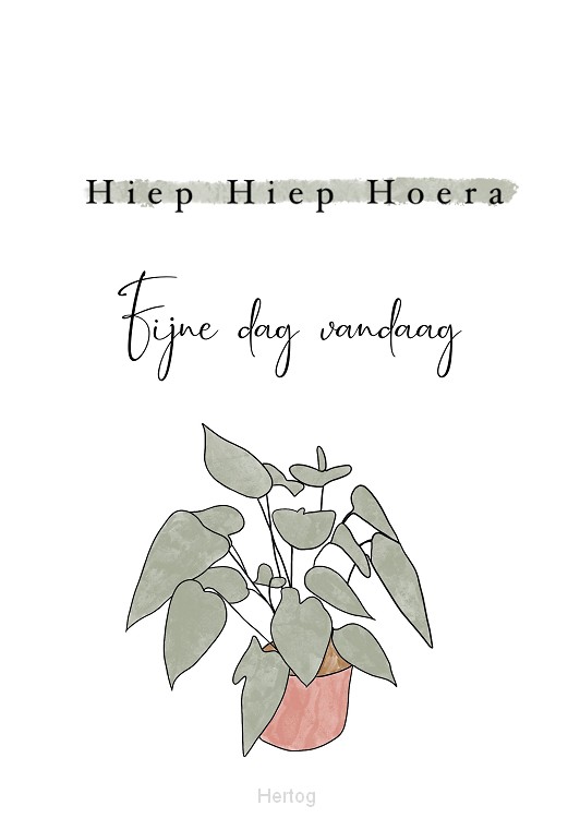Hiep Hiep Hoera Fijne dag vandaag - kaart